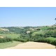 Properties for Sale_Restored Farmhouses _Il Noceto in Le Marche_11
