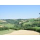 Properties for Sale_Il Noceto in Le Marche_11