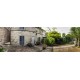 Properties for Sale_APARTMENT WITH GARDEN IN THE HISTORIC CENTER OF FERMO in the Marches in Italy in Le Marche_2