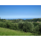 Properties for Sale_RESTORED FARMHOUSE NEAR THE SEA in the Municipality of Montefiore dell'Aso province of Ascoli Piceno in the Marche in Italy in Le Marche_22