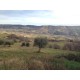 Properties for Sale_ Farmhouse to restore for sale in Le Marche - La Torre in Le Marche_5