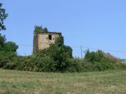  Farmhouse to restore for sale in Le Marche - La Torre